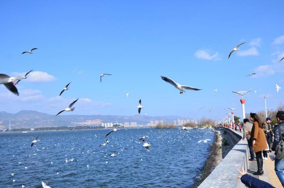 昆明(1)(1)