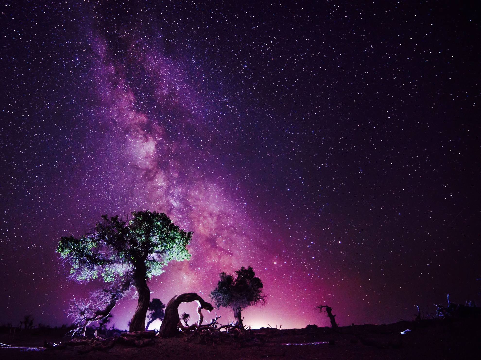 怪树林星空 (3)