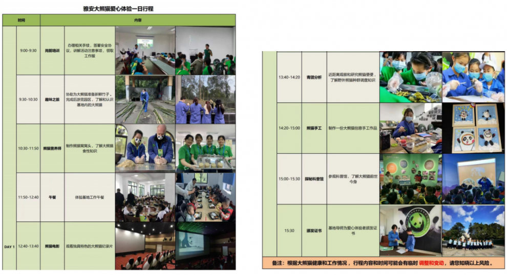 熊猫安排1 熊猫安排1