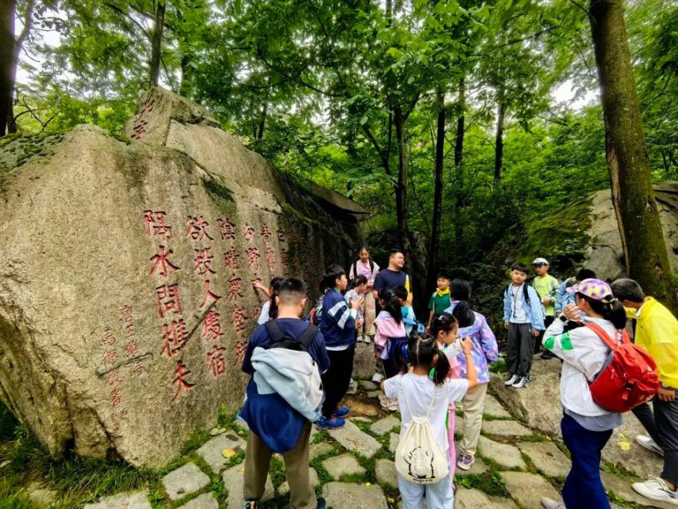 图片5