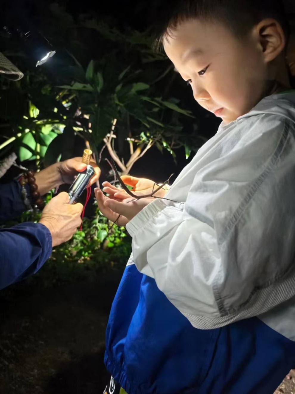 夜探雨林 (3)