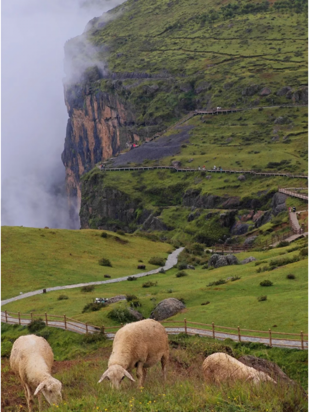 大山包 (2) 大山包 (2)