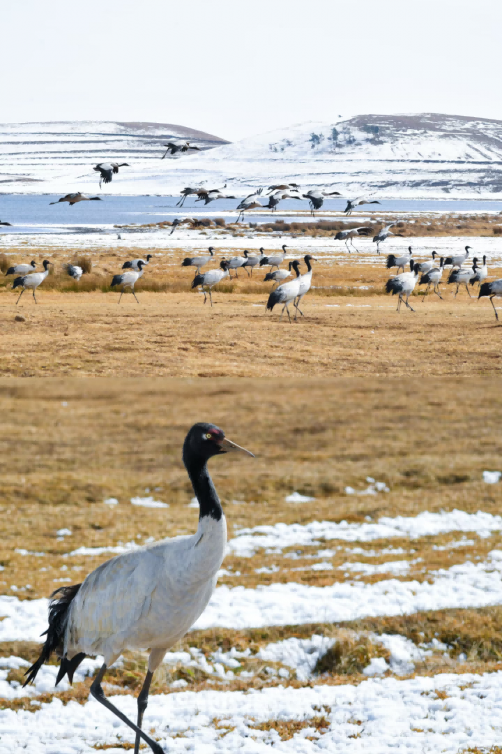 大山包 (3) 大山包 (3)