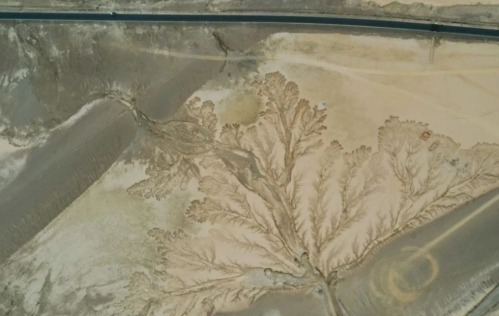 d9f4628cce285849e2c66212aa8d2798