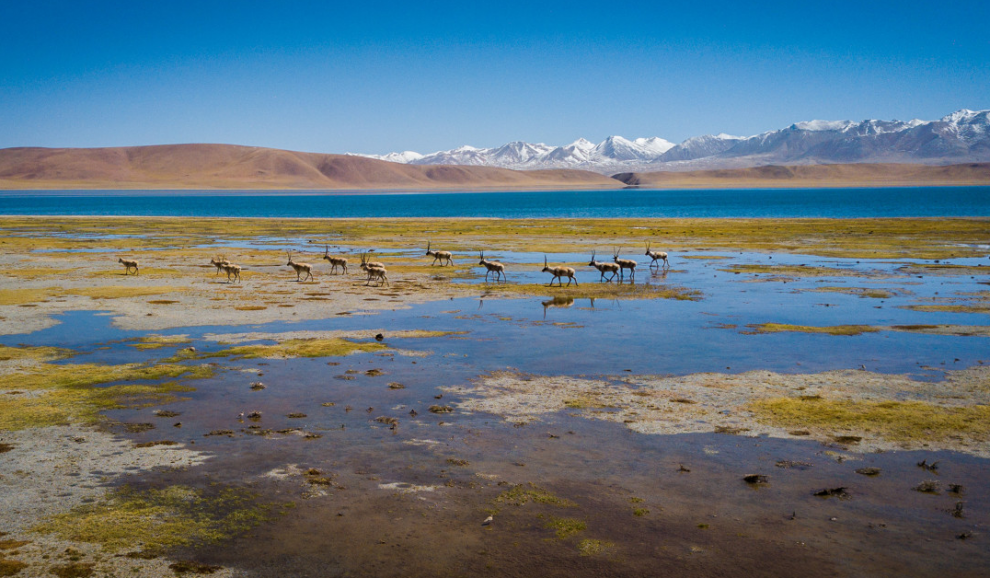 e840a5e21a02415774d273674dc40b0a