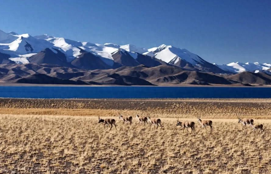 5d86e7d8f8c82a645642c8b0c23b21d7