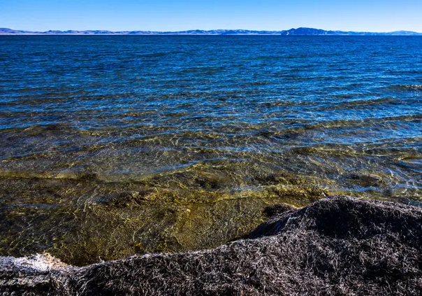 f2879cb20040d01f570bd5316d19c95f