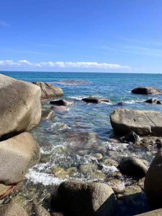 大花角2 大花角2