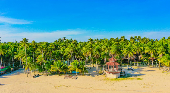 东郊椰林 (2) 东郊椰林 (2)