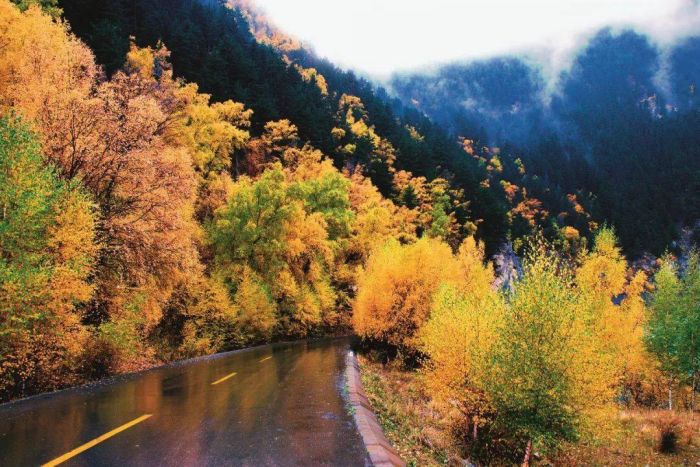 籼米国家森林公园2 籼米国家森林公园2