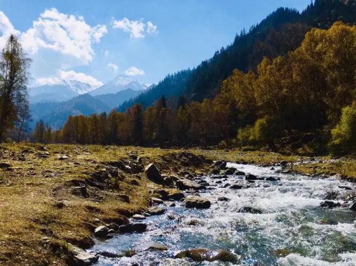 浪士当1 浪士当1