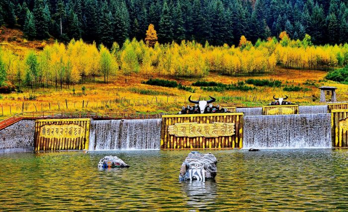 籼米国家森林公园1 籼米国家森林公园1