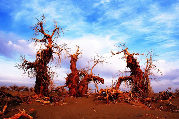 守望三将 守望三将