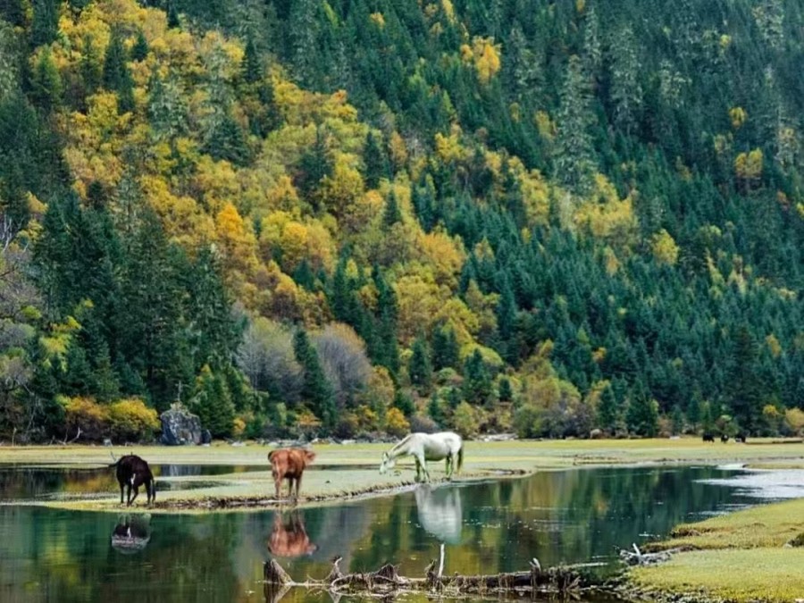 月亮湖甲根坝空中花园3 天-2-1 月亮湖甲根坝空中花园3 天-2-1