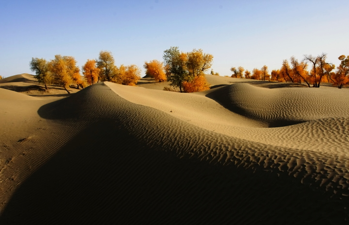 1430bb28bb297dbb0b25128f40e4deaf