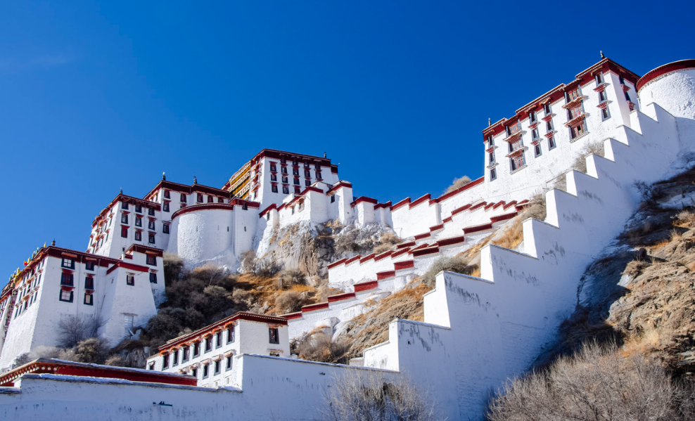 81827d3d5cbab439040b38b47755c57c