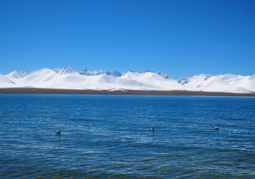 ae3b68265fe37f4d4ca197035aab66e3