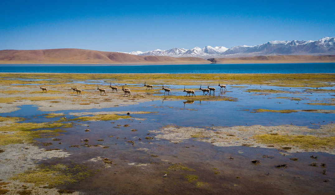 e840a5e21a02415774d273674dc40b0a