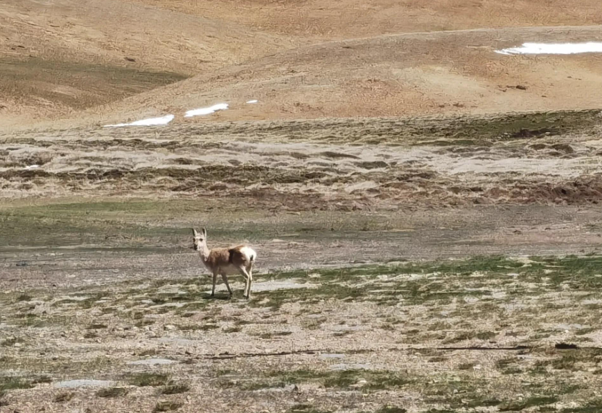 e110c142bdf943ef881c3001f8117112