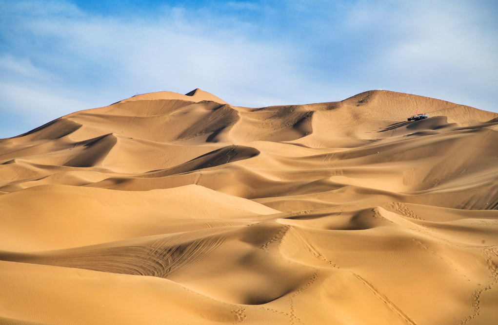 52f0f816976092518248d3f510f947e0