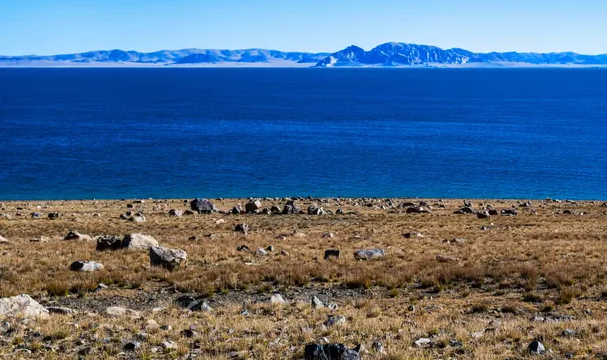 24f09496a33cf75fa6a609ca674a160a