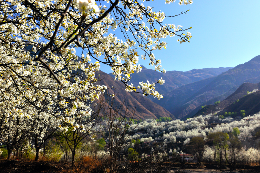 29c6dbb342645b1b04d2492ff9d4b839