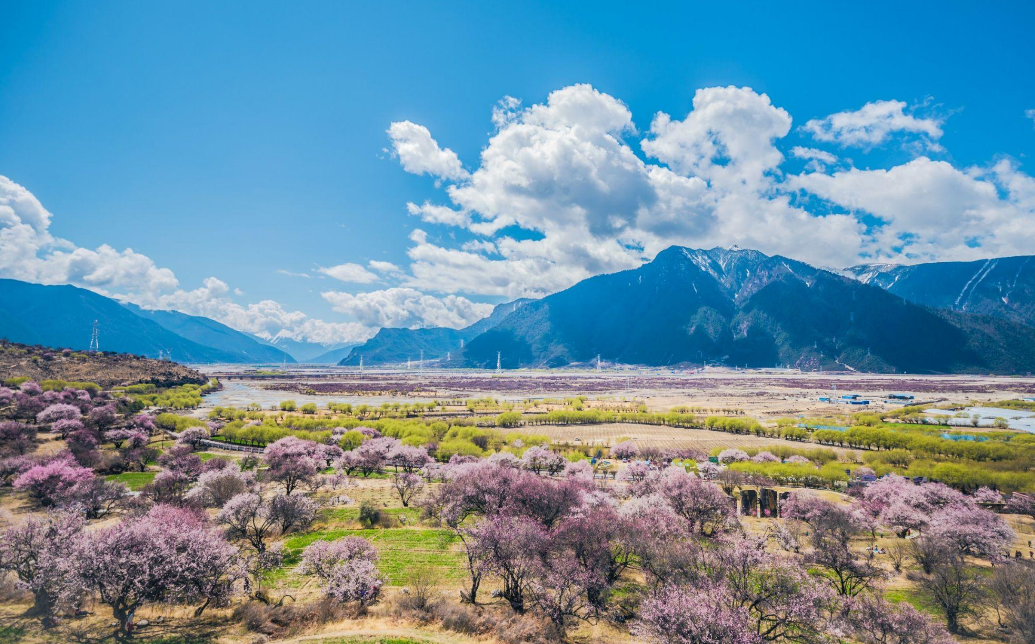 71ed063dc1da8742679ba2d3ac1aded5