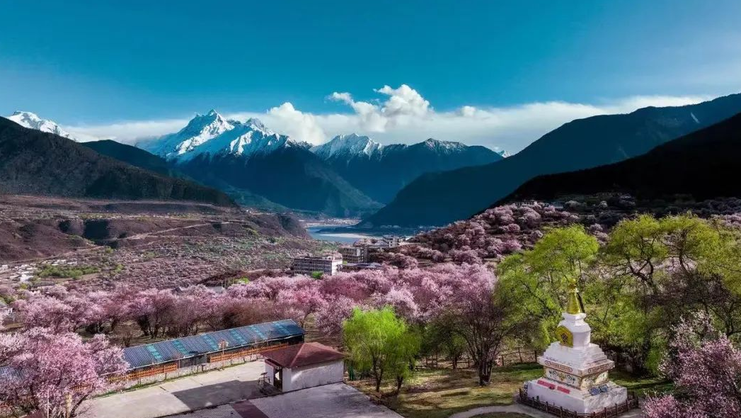 3847f1c1a842710d03642ccd67a8584c