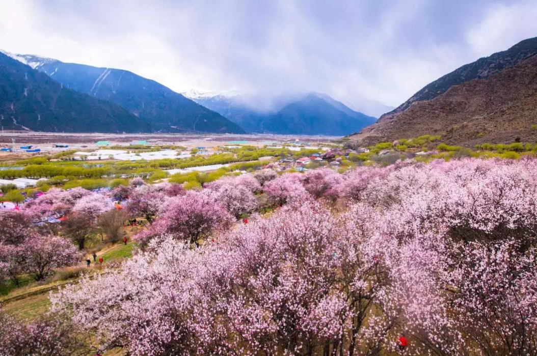 5555836fdbb4140e51aac46fc21e9f9c